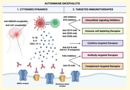 Brain Communication 2