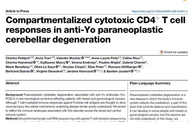 Septembre 2026: Article - Compartmentalized cytotoxic CD4+ T 