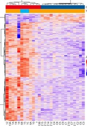 Heat Map Yo