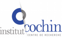 Cochin Cochin