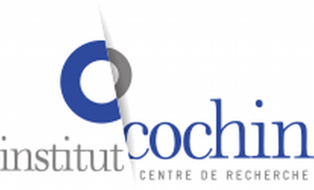 Institut Cochin