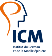 ICM ICM