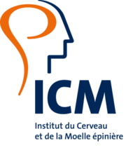 ICM