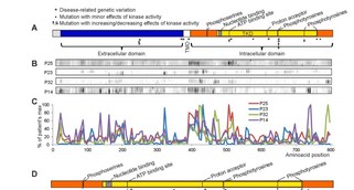 Journal Of Neuroimmunology1