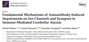 Fondamental Mechanisms