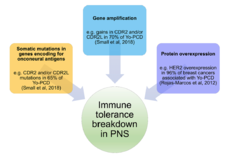 Immune Tolerance Break